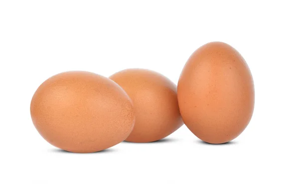 Яйца Изолированы Белом Фоне — стоковое фото