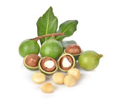 Beyaz arka planda Macadamia fındıkları