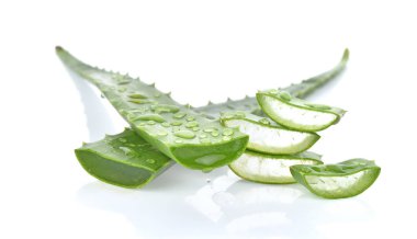 aloe vera taze yaprak beyaz arka plan üzerinde izole