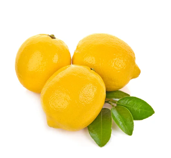 Lemon isolated on white background — Stock Photo, Image