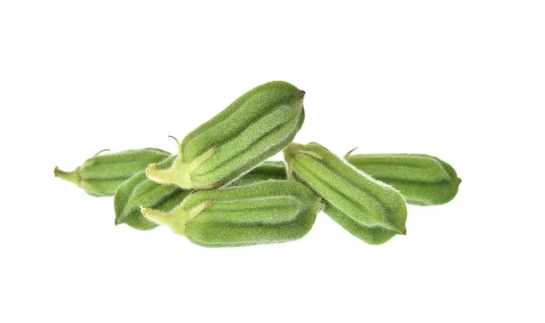 White sesame  isolated on white background. — Stock Photo, Image