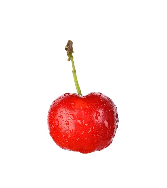 Acerola, Malpighia emarginata, med droppar vatten isolat — Stockfoto