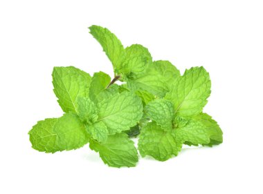 Beyaz arka plan üzerinde izole ot nane yaprakları