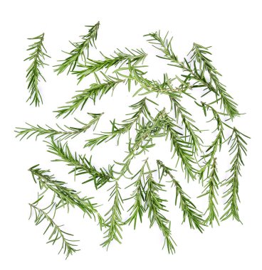 Biberiye üst görünümü beyaz arkaplanda izole