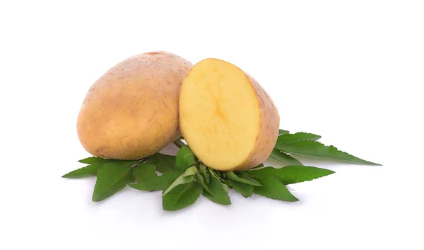 Картопля Скибочка Картоплі Зеленого Лева Ізольовані Білому Тлі — стокове фото