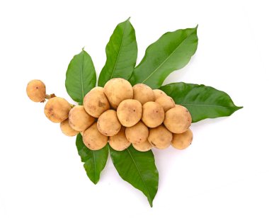 Longkong 'un üst görünümü ve beyaz arkaplanda izole edilmiş bırakılmış uzunluk