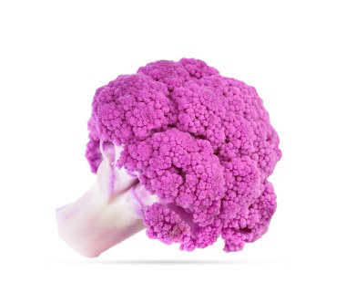 Mor brassica oleracea beyaz arkaplanda izole edilmiş.