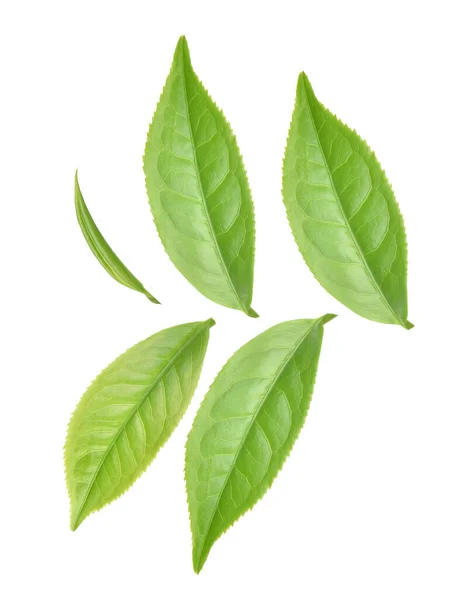 Widok Góry Zielona Herbata Liści Izolowane Białym Tle — Zdjęcie stockowe