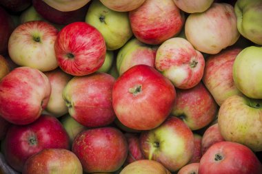 Yukarıdan aşağı bakıyor ağaç üst görünümden aldı organik kırmızı elma.