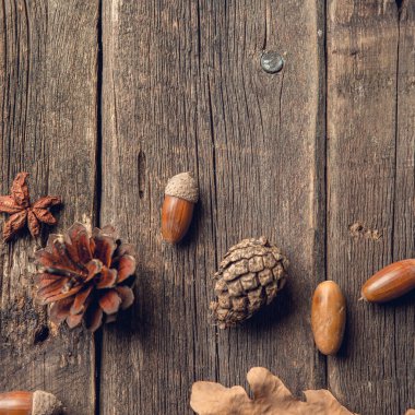 Sonbahar kompozisyon. Kurutulmuş sonbaharında yapılan çerçeve yaprakları, meşe palamutları, çam kozalakları koyu ahşap antika arka plan üzerinde. Sonbahar, Güz, arka plan. Düz yatıyordu, en iyi görünüm, kopya alanı