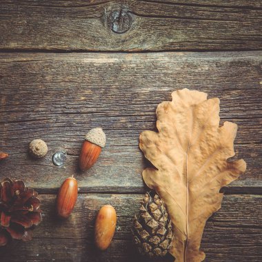 Sonbahar kompozisyon. Kurutulmuş sonbaharında yapılan çerçeve yaprakları, meşe palamutları, çam kozalakları koyu ahşap antika arka plan üzerinde. Sonbahar, Güz, arka plan. Düz yatıyordu, en iyi görünüm, kopya alanı