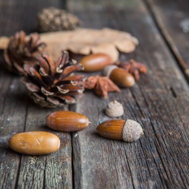 Sonbahar kompozisyon. Kurutulmuş sonbaharında yapılan çerçeve yaprakları, meşe palamutları, çam kozalakları koyu ahşap antika arka plan üzerinde. Sonbahar, Güz, arka plan. Düz yatıyordu, en iyi görünüm, kopya alanı