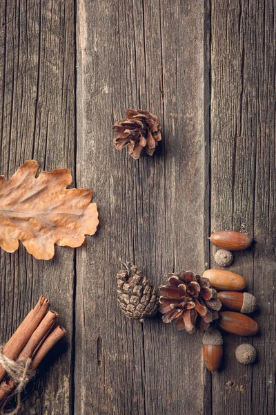 Herbst Hintergrund Mit Eichenblättern Zimt Tannenzapfen Und Eicheln Flache Lage — Stockfoto