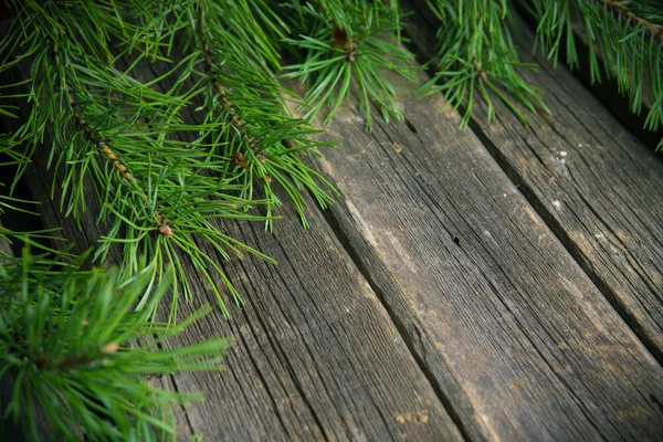 Зелені Ялинові Гілки Старому Дерев Яному Фоні — стокове фото