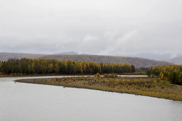Autumn Landscape River Background Forest — ストック写真