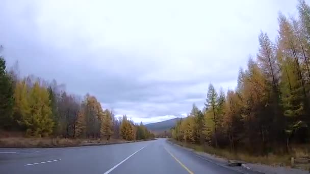 Autofahren auf einer herbstlichen Straße, Verkehr auf Spuren vor dem Hintergrund von Bergen, Wäldern — Stockvideo