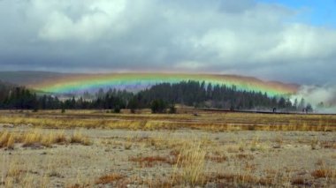 Orman Yellowstone Milli Parkı renkli gökkuşağının kadeh