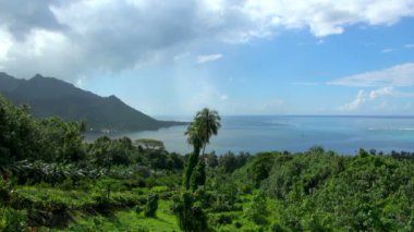 Hala Fransız Polinezya Bay görünümünü vurdu: Tahiti, Moorea, Fransız Polinezyası