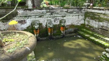 Bu üç Buda heykelleri Goa Gajah, Bali içinde kaydırma bir video olduğunu. Kapalı başlar video üzerinden üç Buda bir dizi bir ilginç yuvası bölmeleri arasında büyük çiçek bağlantı noktası üzerinden geçen başka bir.