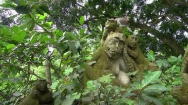 Atış ağaçlar parkın çevresinde ve Statues yakınındaki oynayan maymun