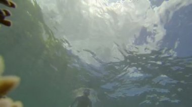 Atletik adam yavaş yavaş okyanus tabanı dibe doğru dalış