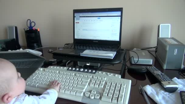 Bebeğin Önünde Bilgisayar Sabit Diskler Los Angeles Amerika Birleşik Devletleri — Stok video
