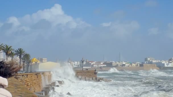 Zwolnionym Tempie Nakręcony Fale Zerwania Oprysków Przeciwko Seawall Jak Kobieta — Wideo stockowe