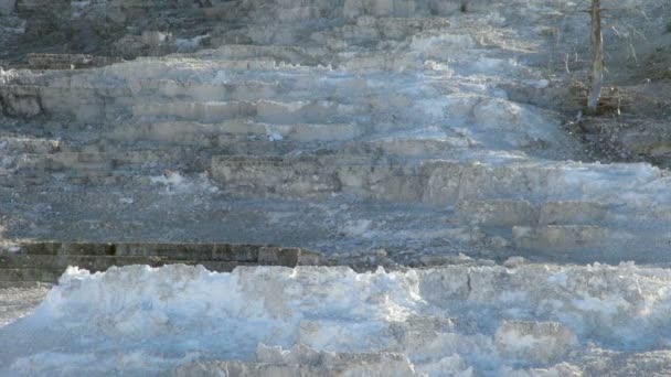 Białe Pokryte Mammoth Hot Springs Tarasy — Wideo stockowe