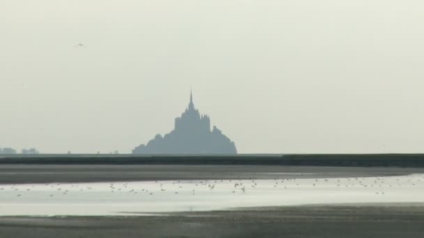 Zoom Out Büyük Normandy Fransa Nın Yaban Hayatı Ile Çevredeki — Stok video