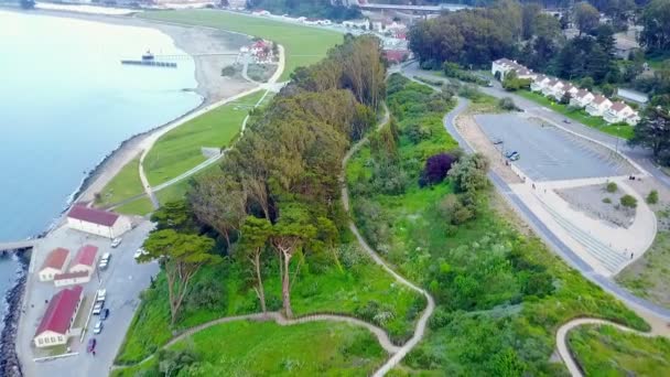 Plants Trees Aerial Great Golden Gate Bridge — Stock Video