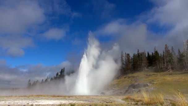 Slow Motion Bred Skjuten Lion Geyser Blåser Ånga Yellowstone National — Stockvideo