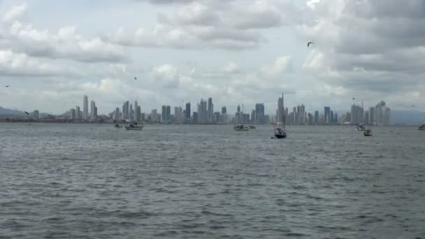 Luftaufnahmen Von Vögeln Die Auf Den Ruhigen Gewässern Panamas Fährboote — Stockvideo