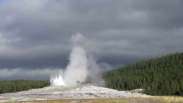 Skott Old Faithful Geyser Blåser Ånga Mulen Och Blåsig Dag — Stockvideo