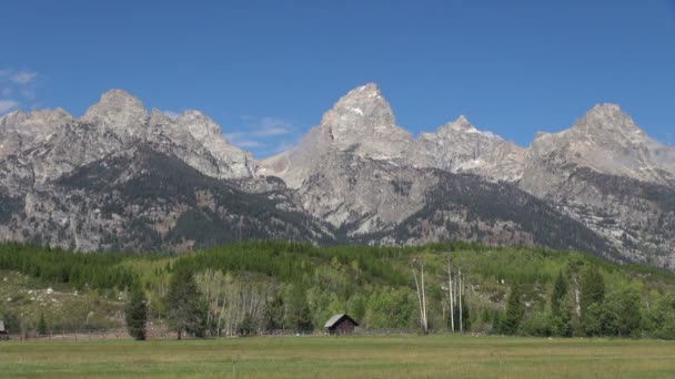 Vista Constante Del Parque Nacional Grand Teton Montañas Majestuosas — Vídeo de stock