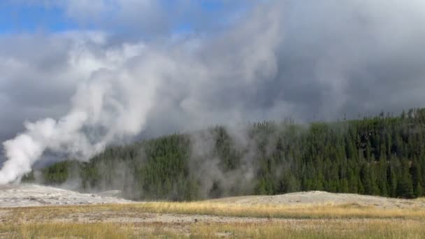 Széles Panoráma Lövés Nagy Yellowstone Nemzeti Park Old Faithful Gejzír — Stock videók