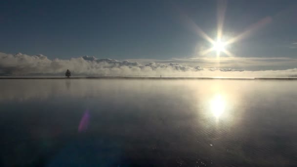 Sole Che Tramonta Con Singolo Albero Piedi Nell Orizzonte Lago — Video Stock