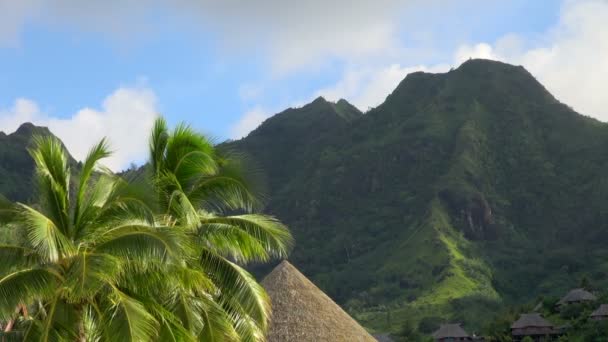 Montañas Verdes Con Palmeras Cabañas Ventosas Tahití Moorea Polinesia Francesa — Vídeos de Stock