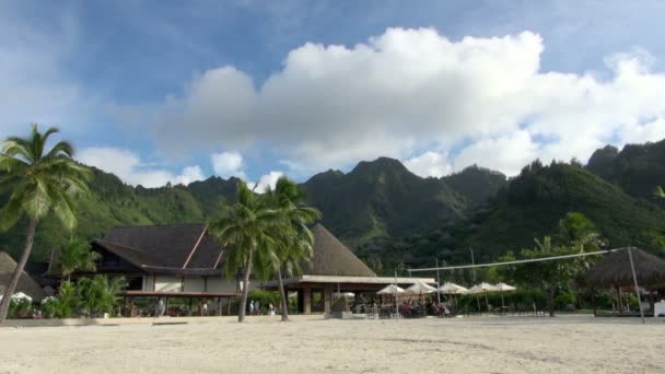 Hala Manzaralı Güzel Plaj Voleybol Sahası Tahiti Moorea Fransız Polinezyası — Stok video