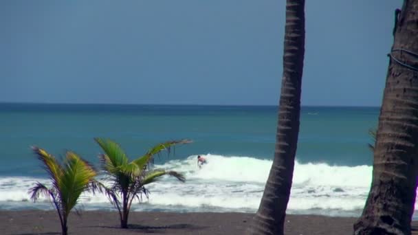 Slow Motion Pannen Geschoten Surfer Van Rechts Naar Links Het — Stockvideo