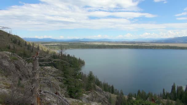 Tiro Constante Lago Azul Parque Nacional Grand Teton Dia Claro — Vídeo de Stock