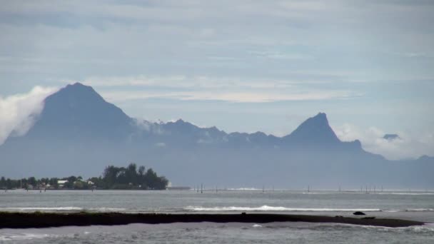 Fortfarande Skott Vågor Stranden Tahiti Tahiti Papeete Franska Polynesien — Stockvideo