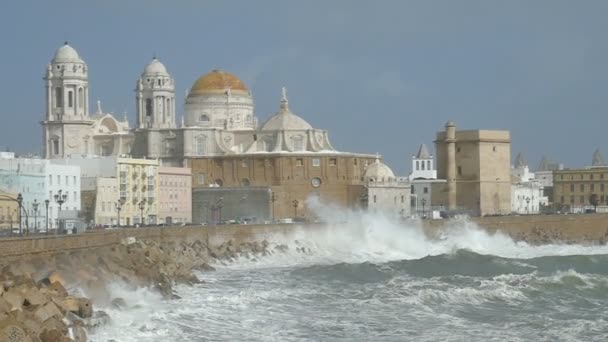 Αργή Κίνηση Μήκος Πόδηα Σύλληψη Μιας Ομάδας Γλάροι Που Πετούν — Αρχείο Βίντεο