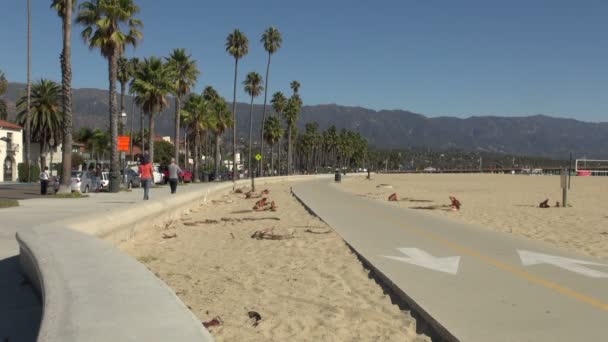 Father Sons Skateboarding Boardwalk Santa Barbara Estados Unidos América — Vídeo de stock