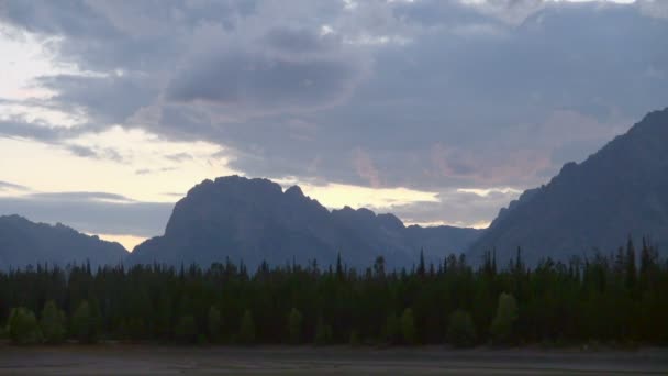 Shot Funny Man Showing Beauty Grand Teton National Park — Videoclip de stoc