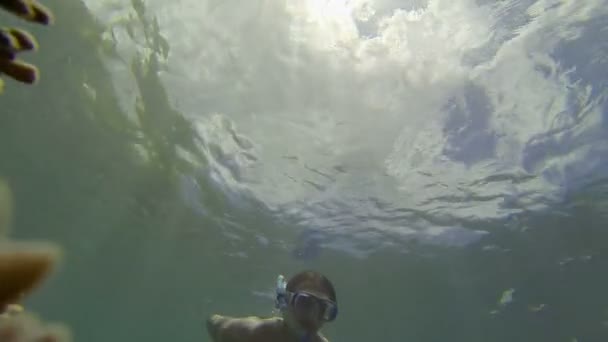 Snorkelen Man Genieten Van Zwemmen Met Handen Rug Onder Duidelijk — Stockvideo