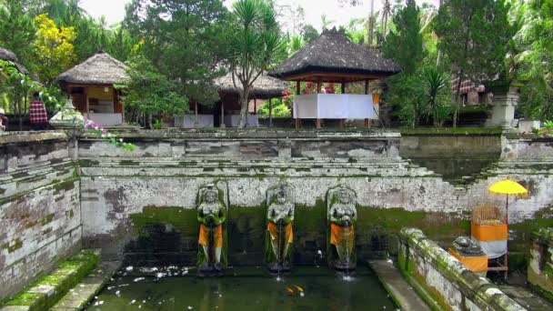 魚が付いている池に水を注いで 仏の彫像と水タンク コンパートメント上の見事な手入れの行き届いた神社の広角ロックダウン ビデオ — ストック動画