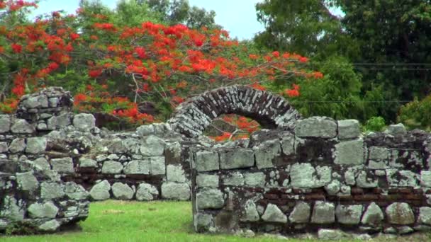 Stadig Skott Fantastisk Arch Struktur Panama City Ruins — Stockvideo