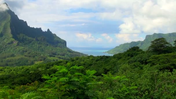 Zooming Shot Mountains Bay Tahiti Moorea Polinesia Francesa — Vídeo de stock