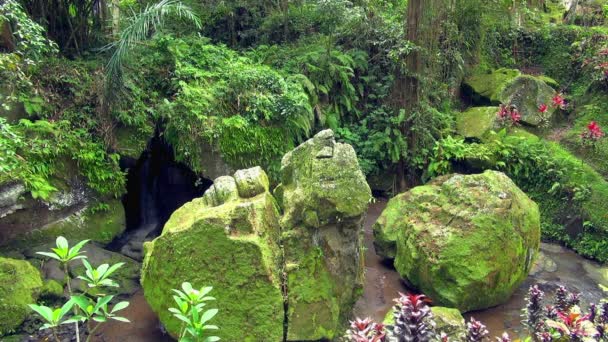 Uzamčení na jednom z nádherné zahrady v zahradách Ayung Resort na Bali, Indonésie Ubud. Je atraktivní malé vodopády, skryté pod skály moss zahrnuty.