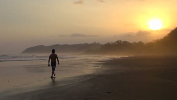 Tiro Constante Del Hombre Caminando Solo Playa Tranquila — Vídeo de stock